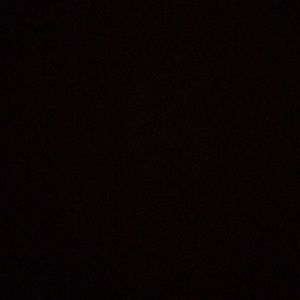 Meet your Posher, Benny